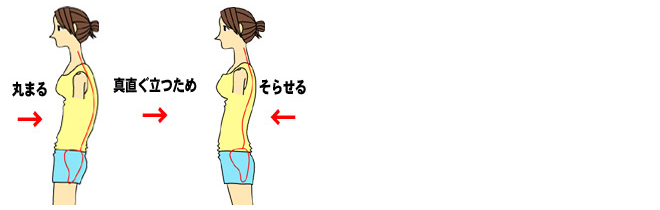 丸まる